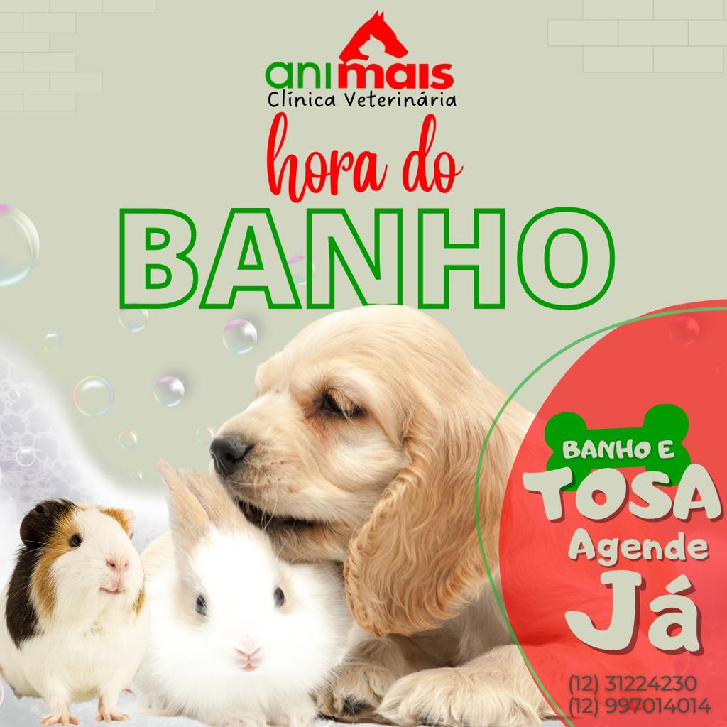 WhatsApp Image 2023-01-17 at 09.33.09.jpeg