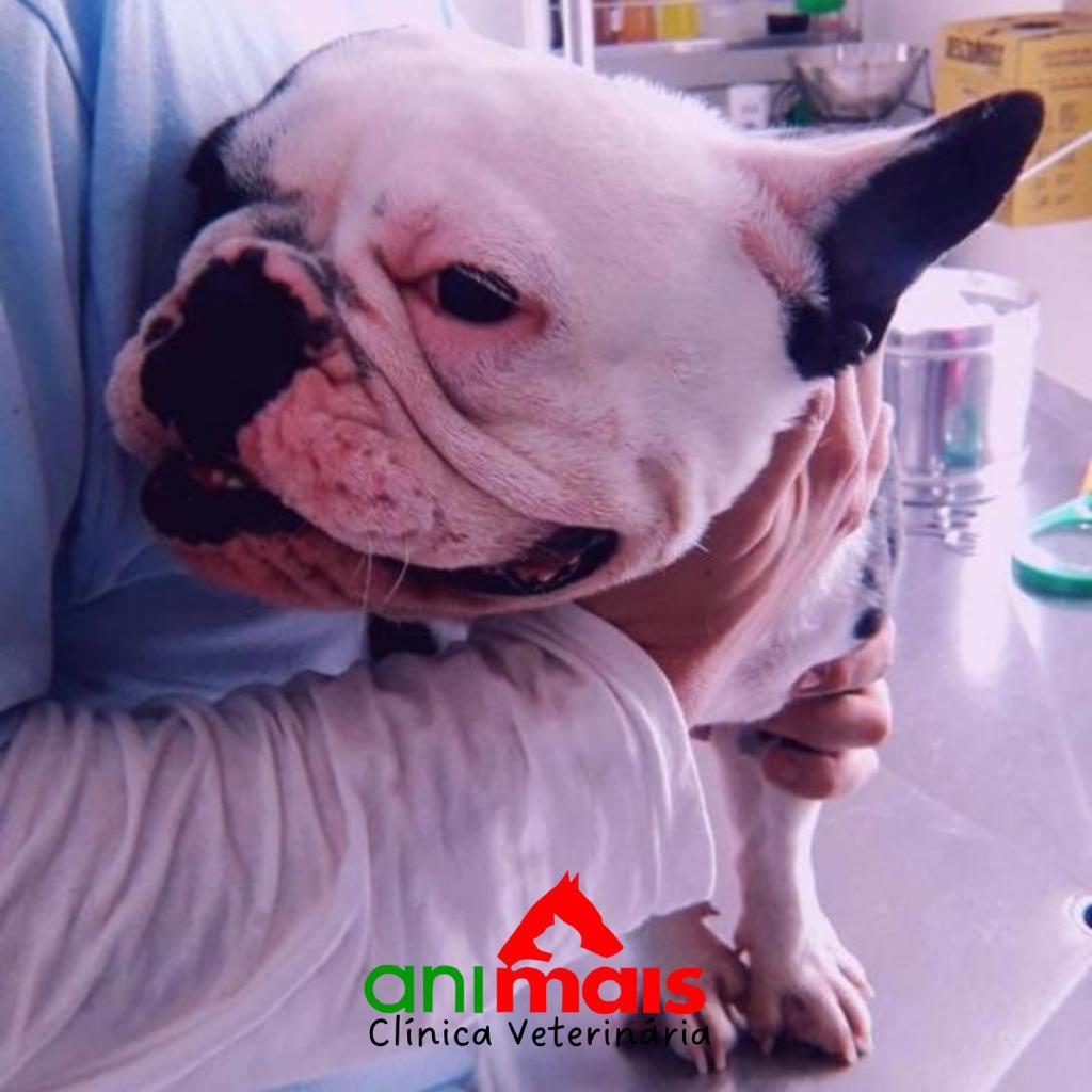 WhatsApp Image 2023-01-24 at 09.55.57 (5).jpeg