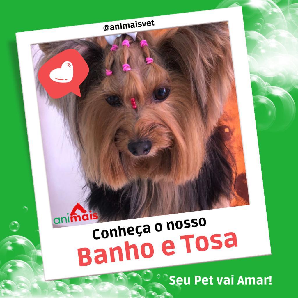 WhatsApp Image 2023-01-17 at 09.33.10.jpeg