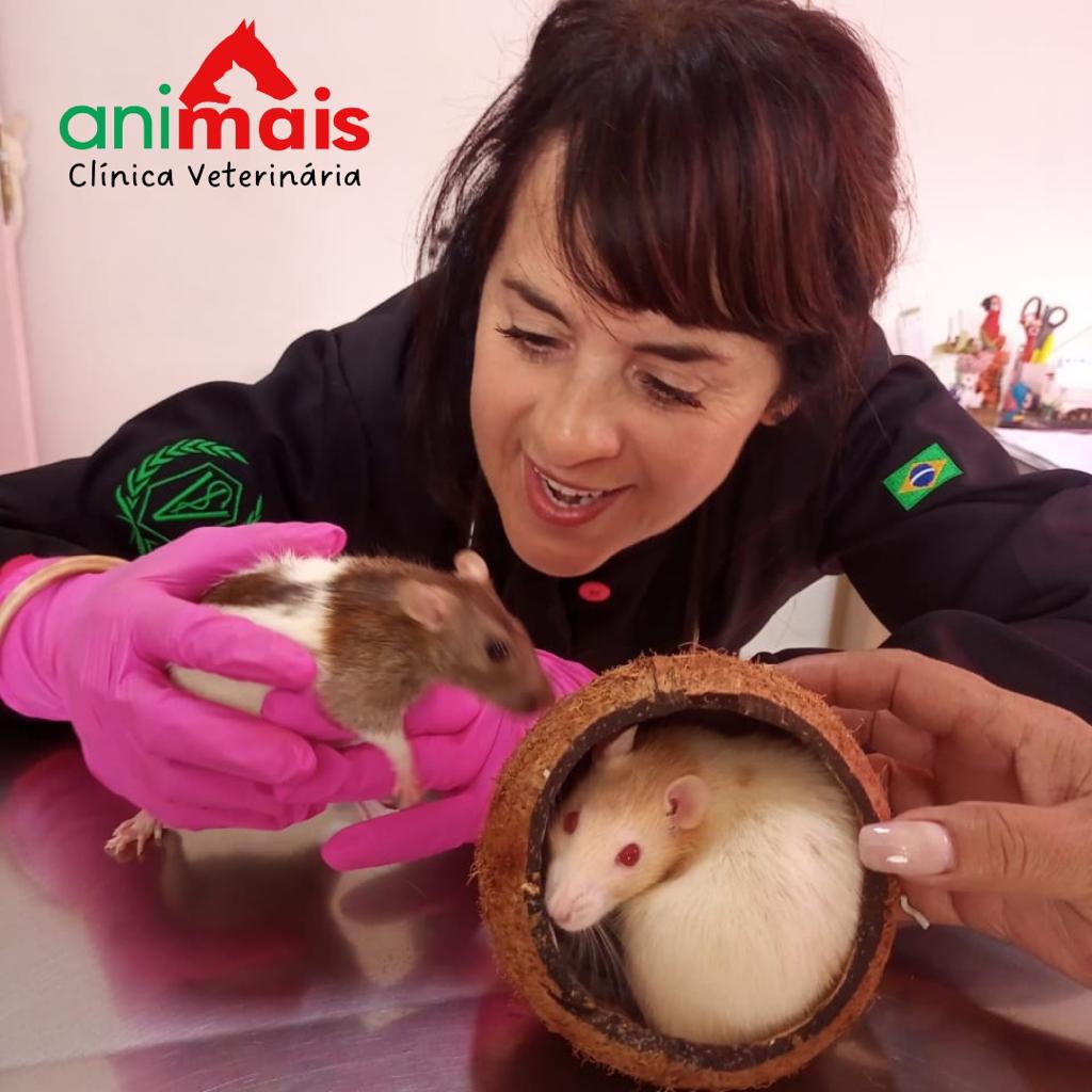 WhatsApp Image 2023-01-24 at 09.55.57 (9).jpeg