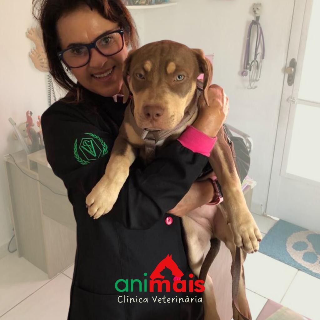 WhatsApp Image 2023-01-24 at 09.55.57 (8).jpeg