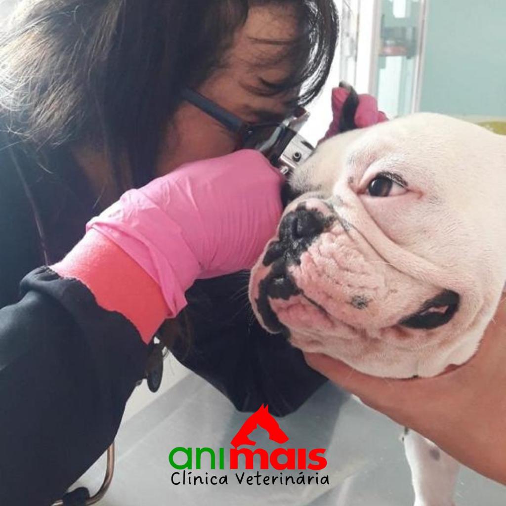 WhatsApp Image 2023-01-24 at 09.55.57 (4).jpeg